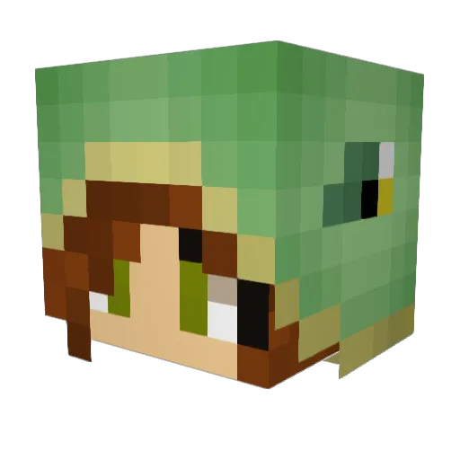 ll_Turtle Minecraft avatar head, 3D render