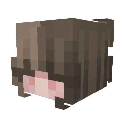 llacy Minecraft avatar head, 3D render