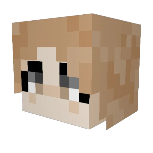 llama0602 Minecraft avatar head, 3D render