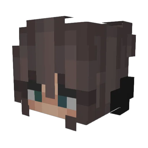 llamaameat Minecraft avatar head, 3D render