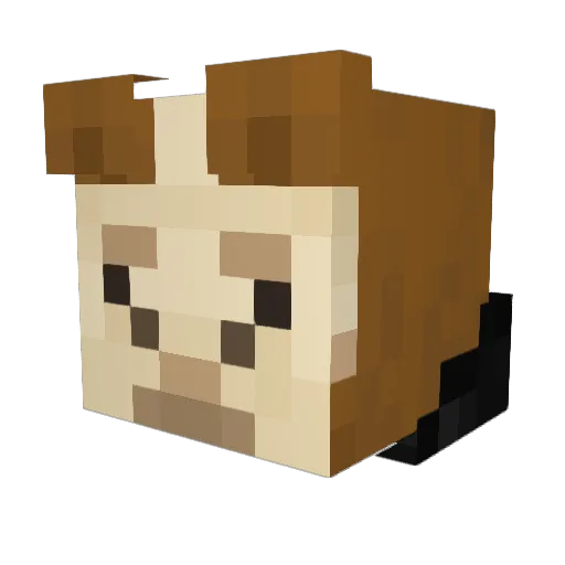 llamaboy99 Minecraft avatar head, 3D render
