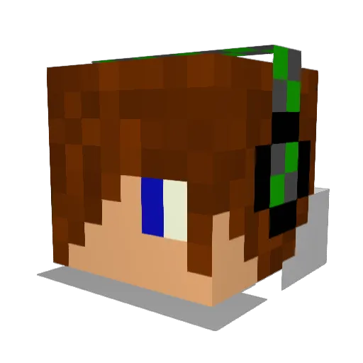 llamallama44 Minecraft avatar head, 3D render