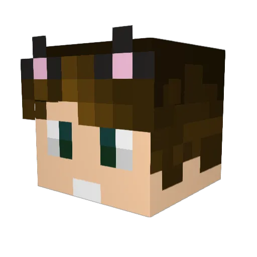 llamaluck99 Minecraft avatar head, 3D render