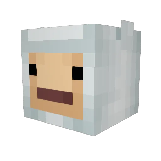 llamashoes Minecraft avatar head, 3D render