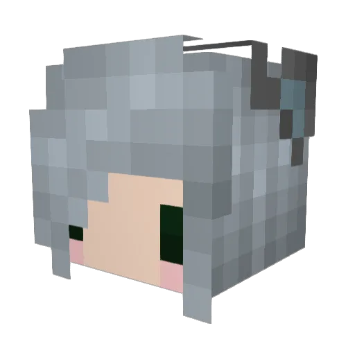 llamasupercorn Minecraft avatar head, 3D render