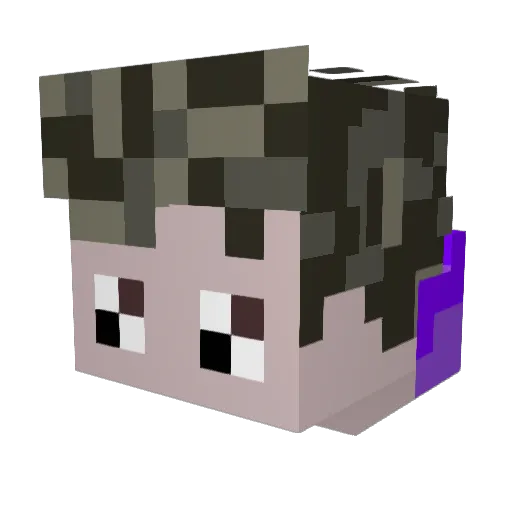 llamer Minecraft avatar head, 3D render