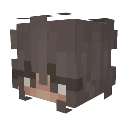 llaurute Minecraft avatar head, 3D render