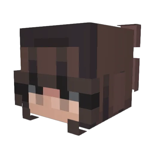 llb_curitiba Minecraft avatar head, 3D render