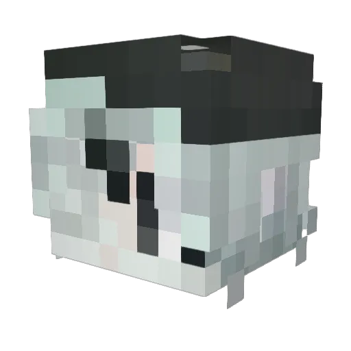 llcci Minecraft avatar head, 3D render