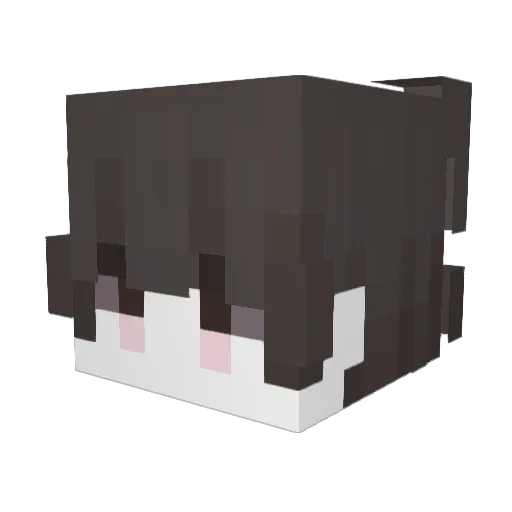 lle001 Minecraft avatar head, 3D render