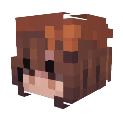 llexii_ Minecraft avatar head, 3D render