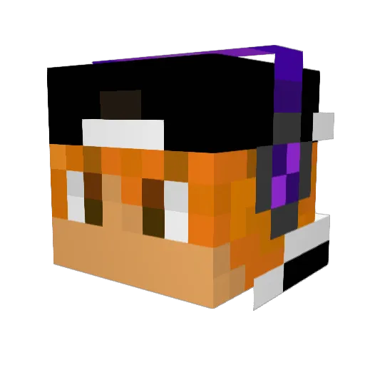 lleyton2002 Minecraft avatar head, 3D render