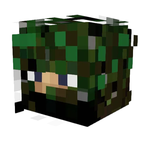 lliarin Minecraft avatar head, 3D render