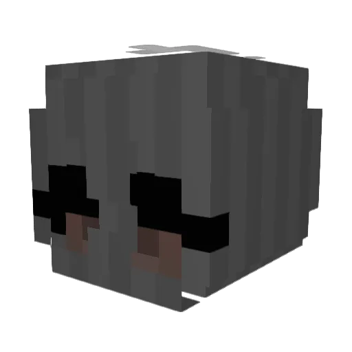 llillbaby Minecraft avatar head, 3D render