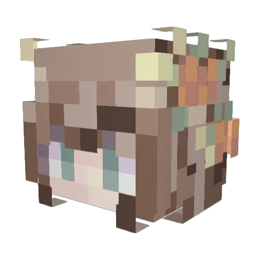 lliminalityy Minecraft avatar head, 3D render