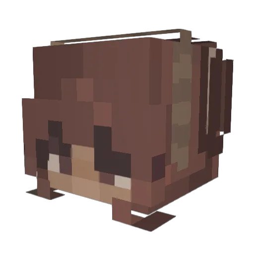 llios Minecraft avatar head, 3D render