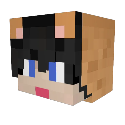 lllSASUKElll Minecraft avatar head, 3D render