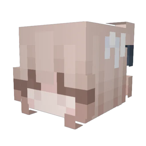 lller_qwp Minecraft avatar head, 3D render
