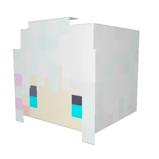 llllIIIllIIlll Minecraft avatar head, 3D render