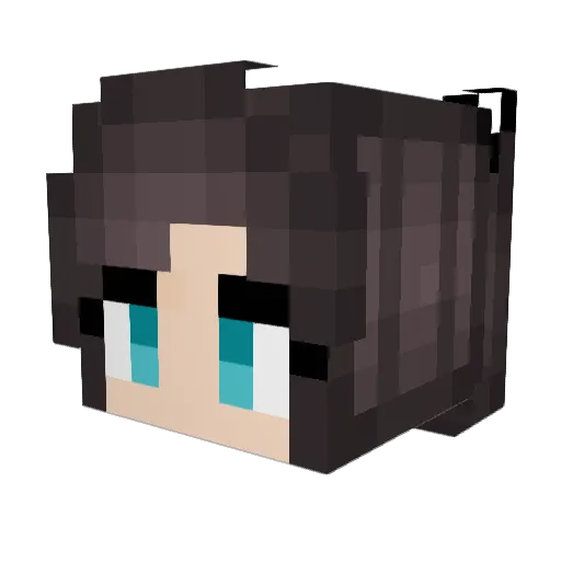 llllJayllll Minecraft avatar head, 3D render