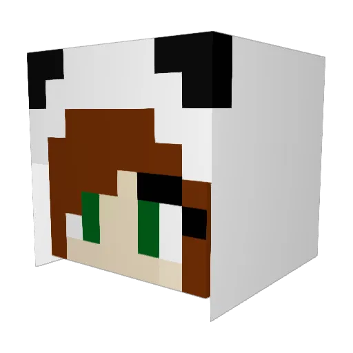 lllllleeeeee Minecraft avatar head, 3D render