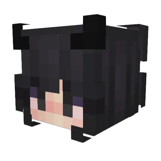 llnsc Minecraft avatar head, 3D render