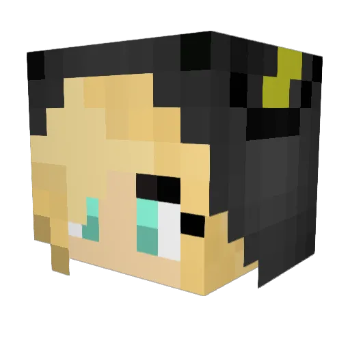 llol2005 Minecraft avatar head, 3D render