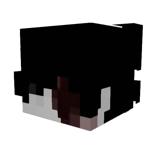 lloyd1123 Minecraft avatar head, 3D render