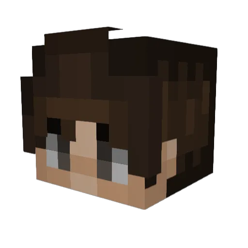lloydieboy66 Minecraft avatar head, 3D render