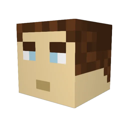 lloydwells Minecraft avatar head, 3D render