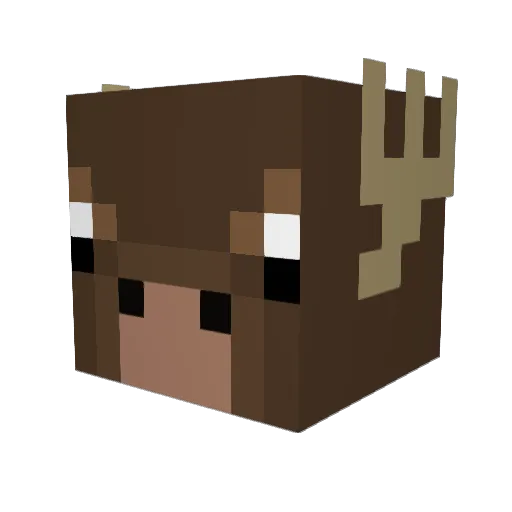 lloytron3 Minecraft avatar head, 3D render