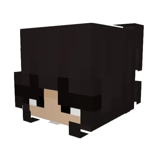 lluji Minecraft avatar head, 3D render