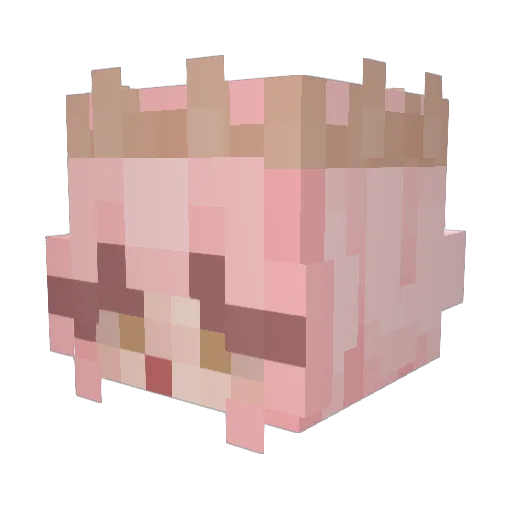 lluviafina Minecraft avatar head, 3D render