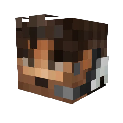 llwrestler8 Minecraft avatar head, 3D render