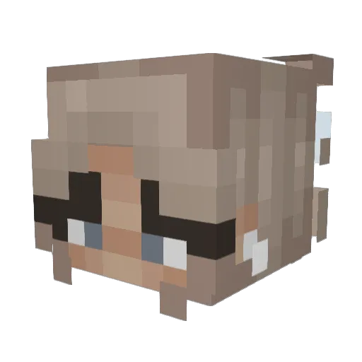 llxstsoul1 Minecraft avatar head, 3D render