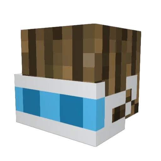 lly_x Minecraft avatar head, 3D render