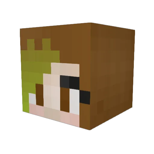 llyjae Minecraft avatar head, 3D render