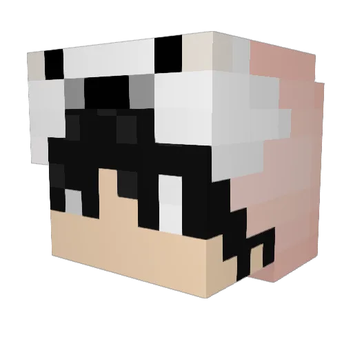 llzof Minecraft avatar head, 3D render