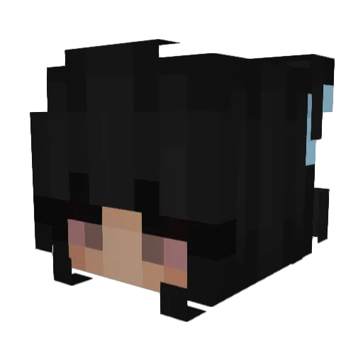 lm_dar_ka Minecraft avatar head, 3D render