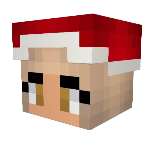 lmao_Ryann Minecraft avatar head, 3D render