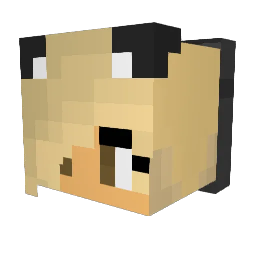 lmbean13 Minecraft avatar head, 3D render
