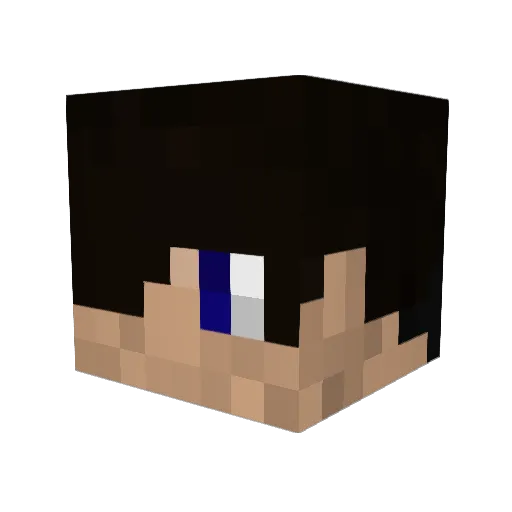 lmfao885 Minecraft avatar head, 3D render