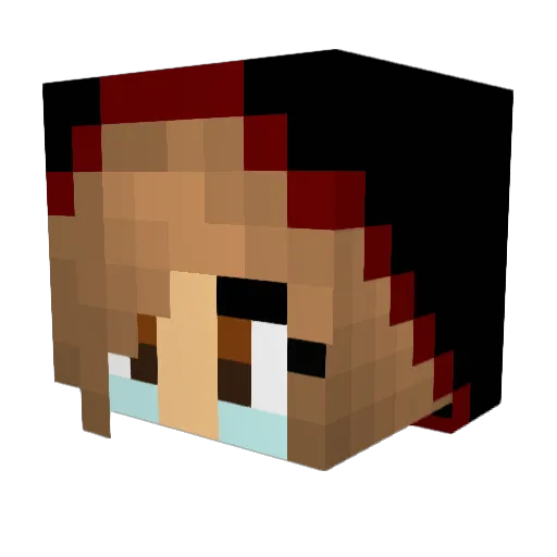 lmfaohakey Minecraft avatar head, 3D render