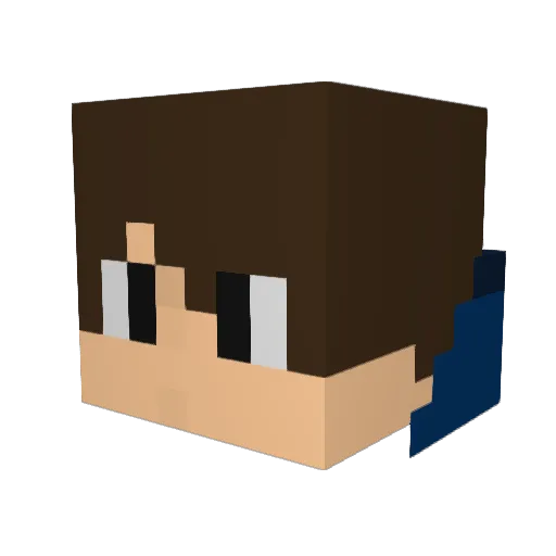 lminer1000 Minecraft avatar head, 3D render
