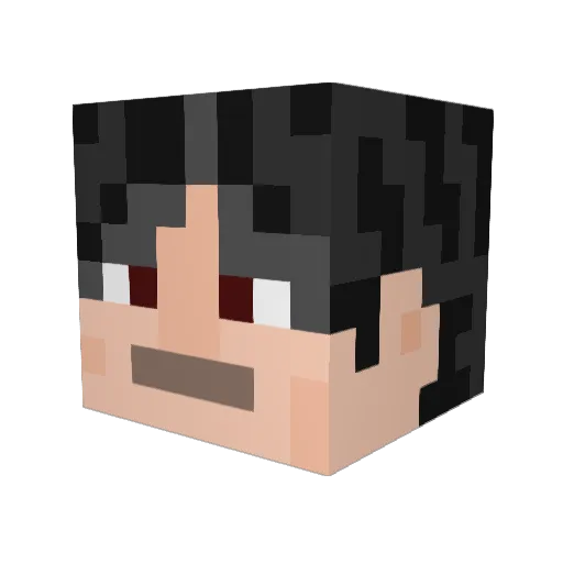 lmj520 Minecraft avatar head, 3D render