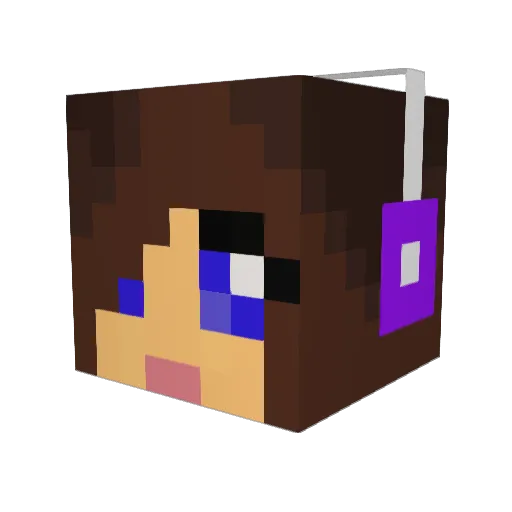 lmm Minecraft avatar head, 3D render