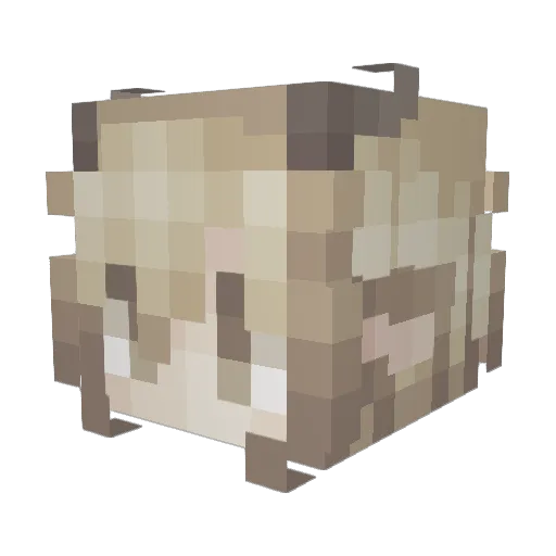 lmoi Minecraft avatar head, 3D render