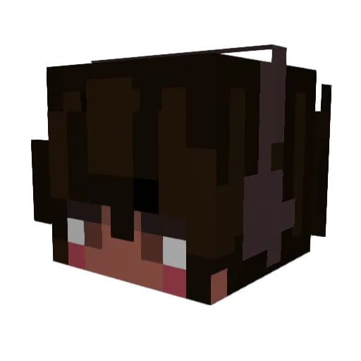 lmpops Minecraft avatar head, 3D render