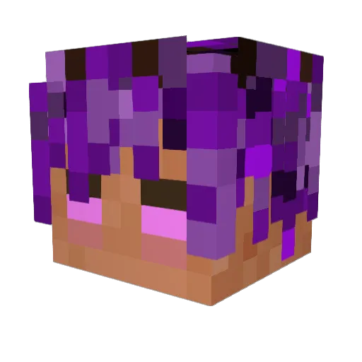 lmsss Minecraft avatar head, 3D render