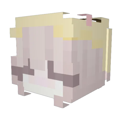 lnTheMidnight Minecraft avatar head, 3D render